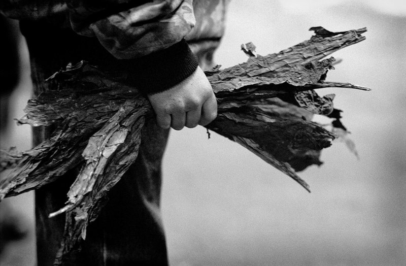 628c44ca-6d0d-4d31-909a-4709ea536c53