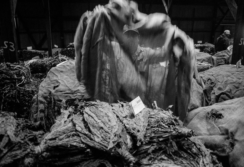 bb7c5146-96b3-4576-8b11-a298ef7fbd92