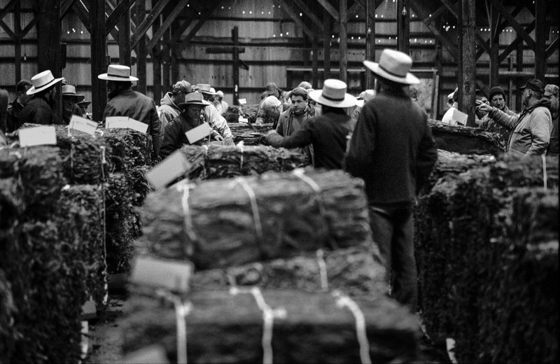 8e241fac-b7a6-47dd-8c21-1f2eed451253