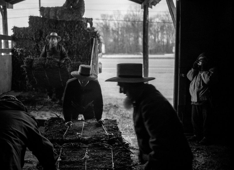 3807d7bb-6dda-47bd-9e20-82efd163d561