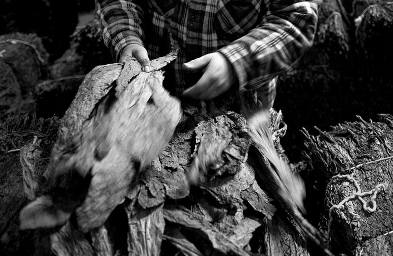 030ac3c3-8c68-4a37-900b-5a3bf836778c