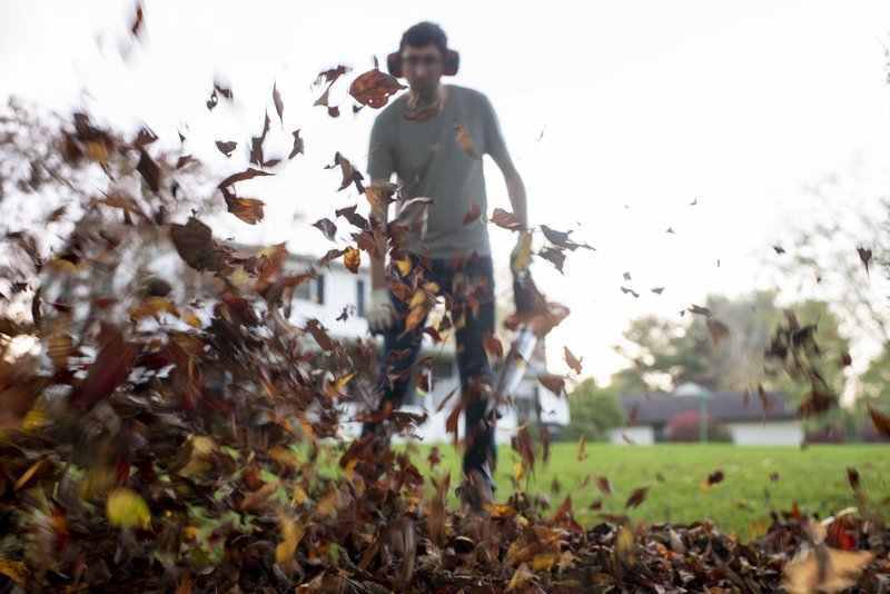 e9394bd4-d29f-4aad-90ab-919bdaf33006