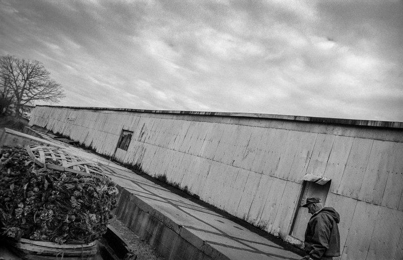 1915cb1d-6898-4716-b9fe-a4b1b854128f